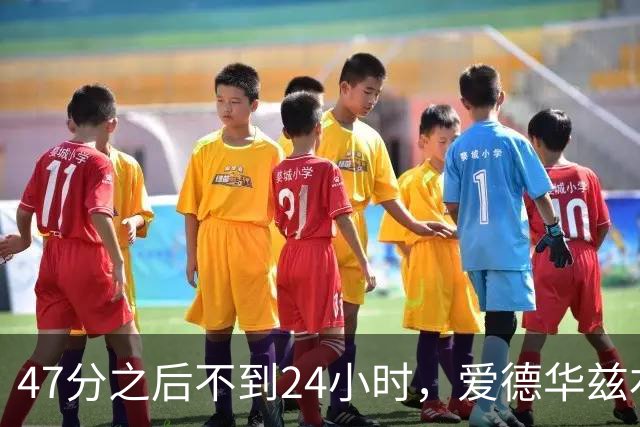 47分之后不到24小时，爱德华兹右膝手术缺阵两个月